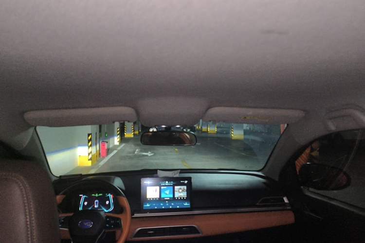 Used BYD e2 2021 Luxury Model Headliner