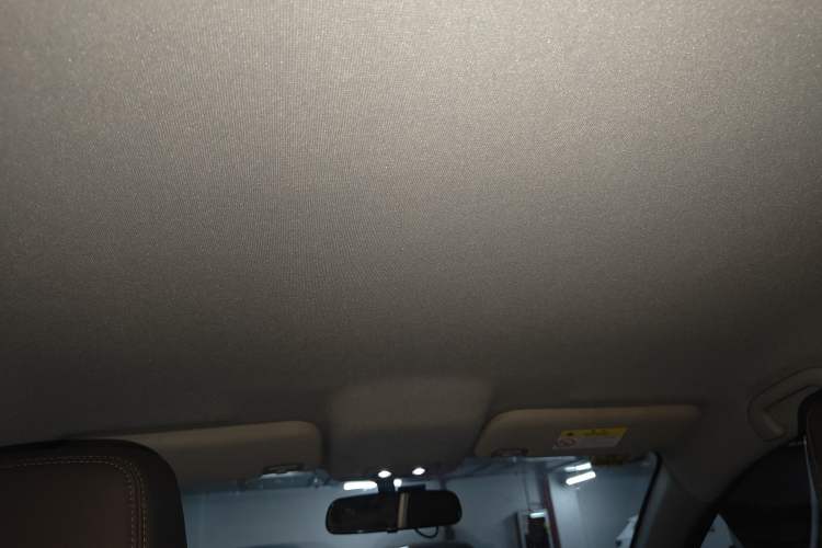 Used BYD e2 2021 Luxury Model Headliner