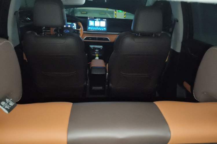 Used BYD e2 2021 Deluxe Model Headliner