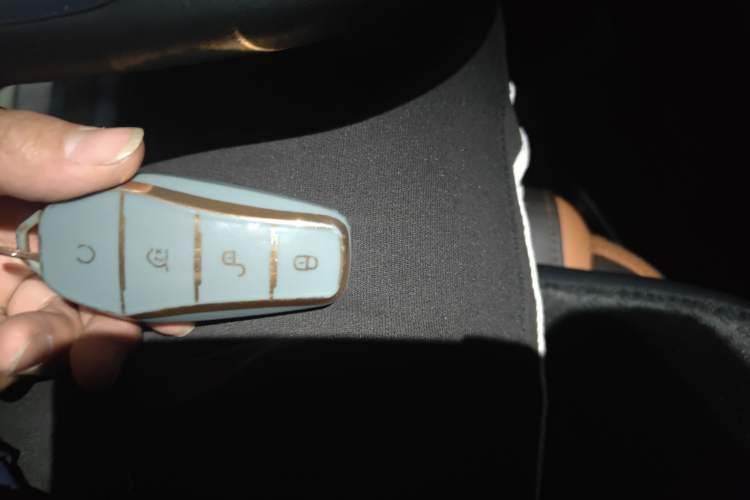 Used BYD e2 2021 Luxury Model Vehicle Key