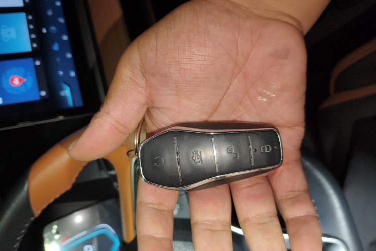 Used BYD e2 2021 Deluxe Model Vehicle Key