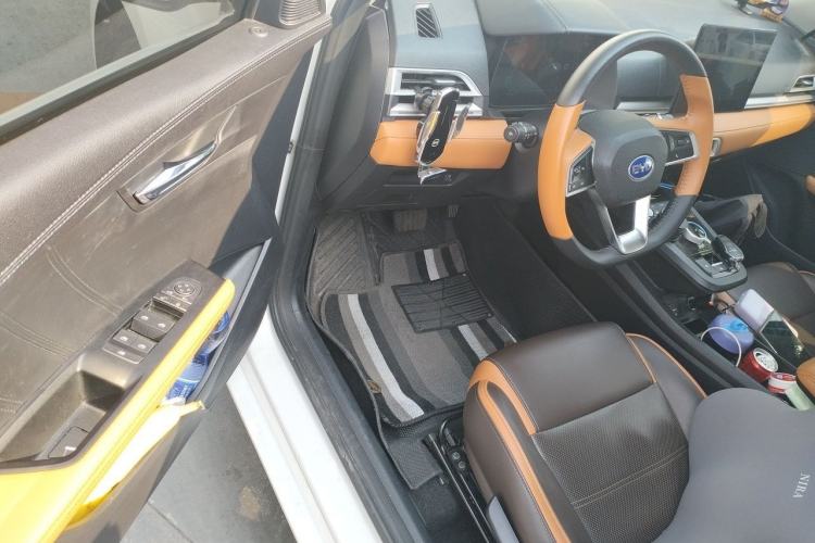 Used BYD e2 2021 Luxury Model Driver Seat