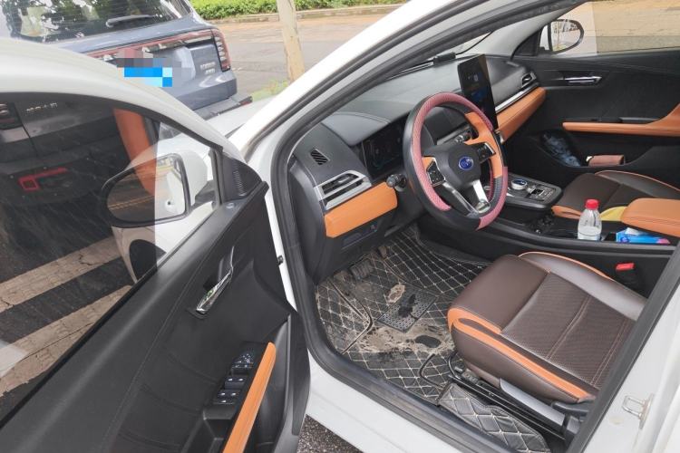 Used BYD e2 2021 Luxury Model Driver Seat