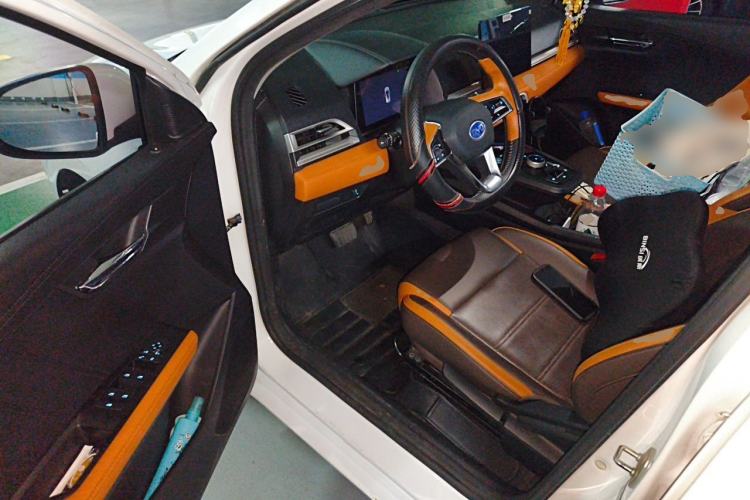 Used BYD e2 2021 Luxury Model Driver Seat