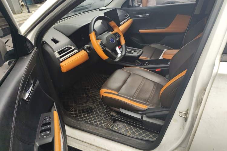 Used BYD e2 2021 Luxury Model Driver Seat
