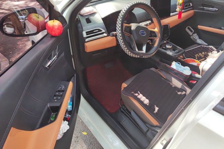 Used BYD e2 2021 Luxury Model Driver Seat