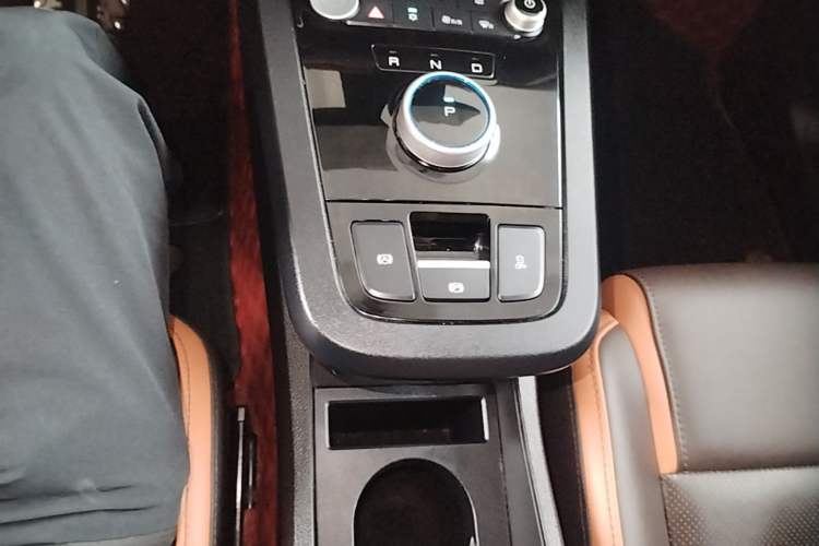 Used BYD e2 2021 Luxury Model Gear Lever