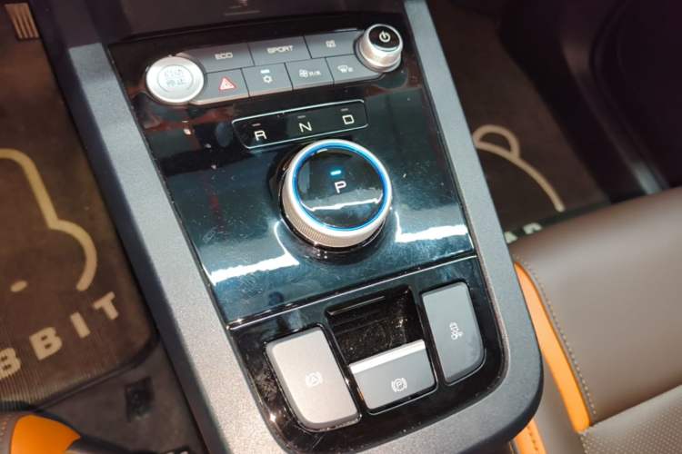Used BYD e2 2021 Luxury Model Gear Lever