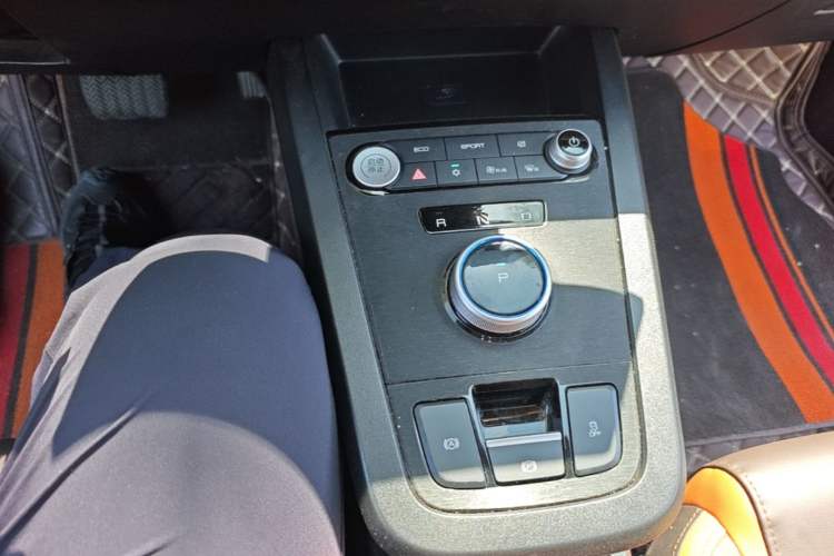 Used BYD e2 2021 Luxury Model Gear Lever