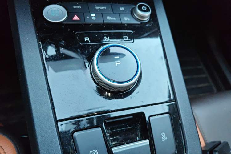 Used BYD e2 2021 Luxury Model Gear Lever