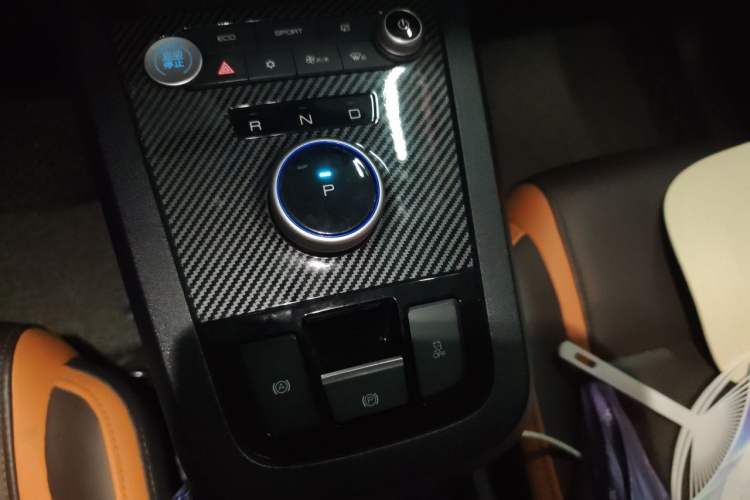 Used BYD e2 2021 Luxury Model Gear Lever