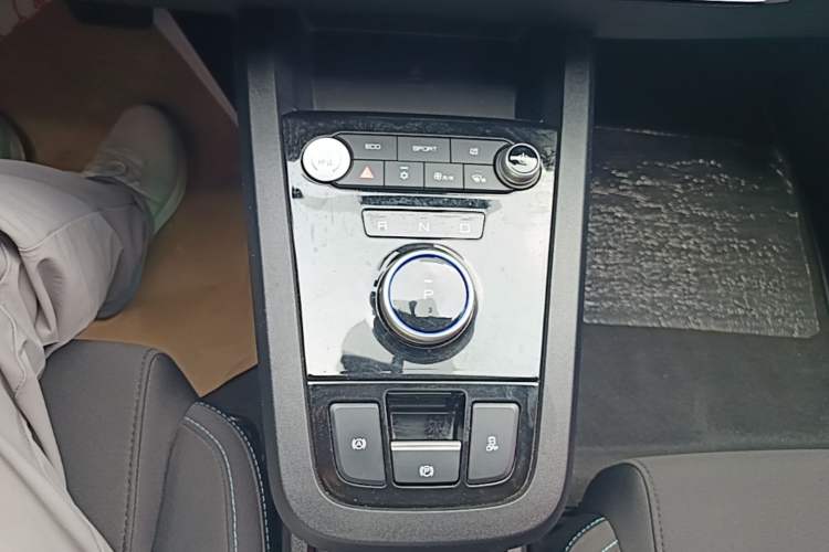 Used BYD e2 2021 Comfort Model Gear Lever