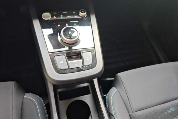 Used BYD e2 2021 Comfort Model Gear Lever