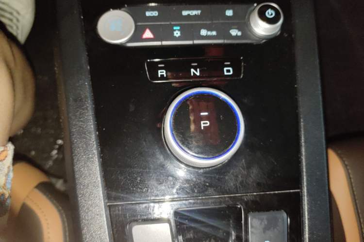 Used BYD e2 2021 Luxury Model Gear Lever