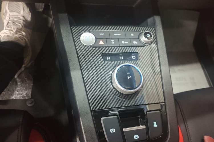 Used BYD e2 2021 Deluxe Model Gear Lever