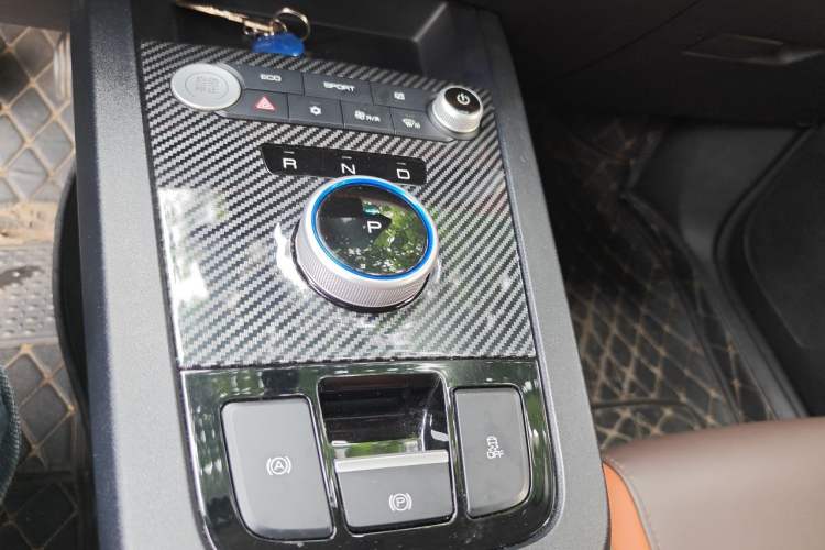 Used BYD e2 2021 Luxury Model Gear Lever