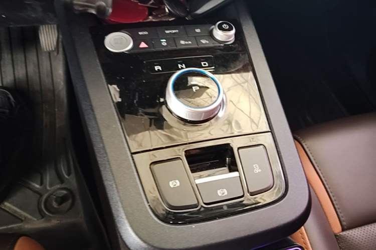 Used BYD e2 2021 Luxury Model Gear Lever
