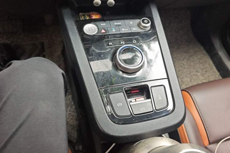 Used BYD e2 2021 Luxury Model Gear Lever