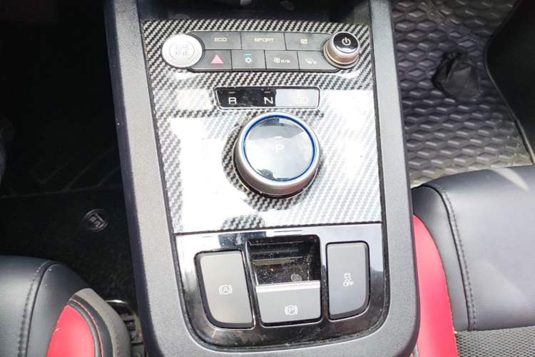 Used BYD e2 2021 Deluxe Model Gear Lever