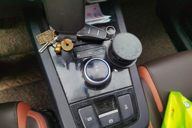 Used BYD e2 2021 Luxury Model Gear Lever