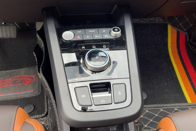 Used BYD e2 2021 Luxury Model Gear Lever