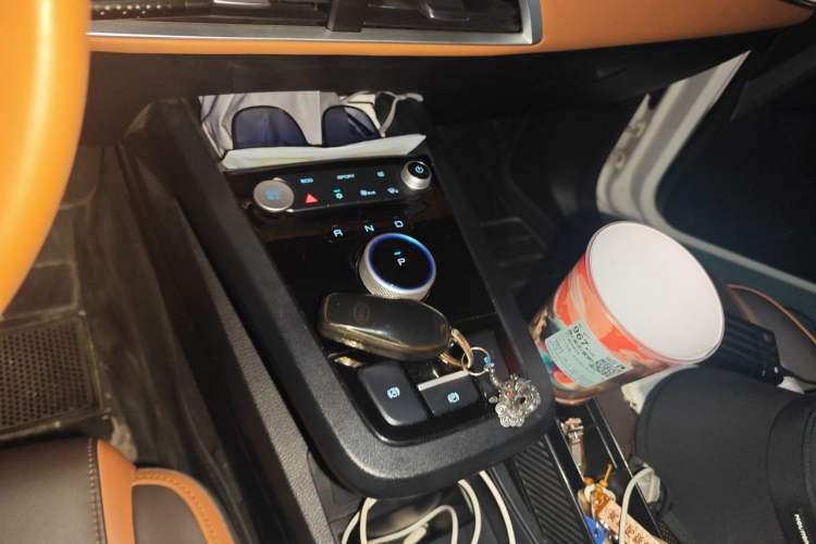 Used BYD e2 2021 Luxury Model Gear Lever