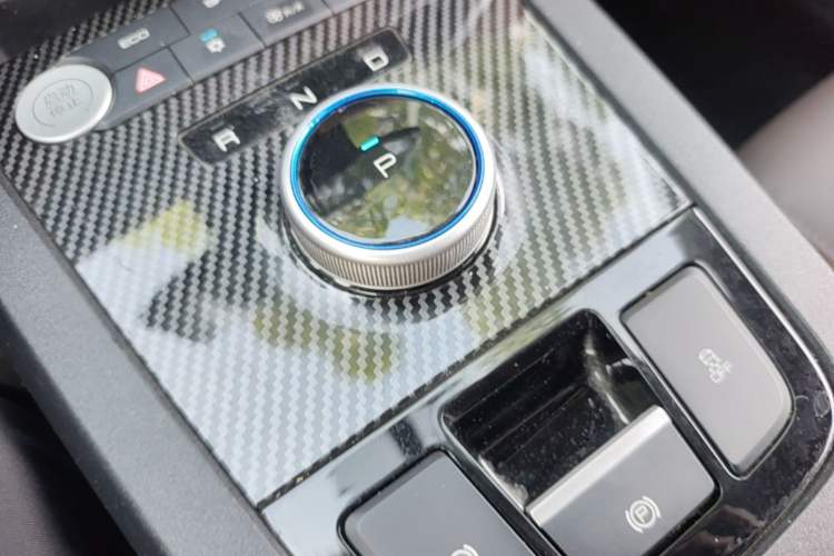 Used BYD e2 2021 Luxury Model Gear Lever