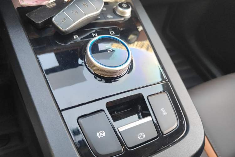 Used BYD e2 2021 Luxury Model Gear Lever