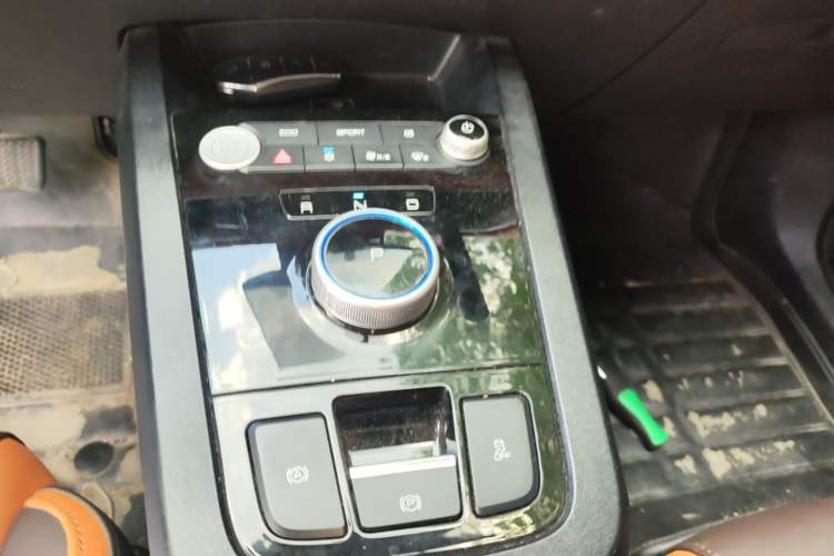 Used BYD e2 2021 Luxury Model Gear Lever