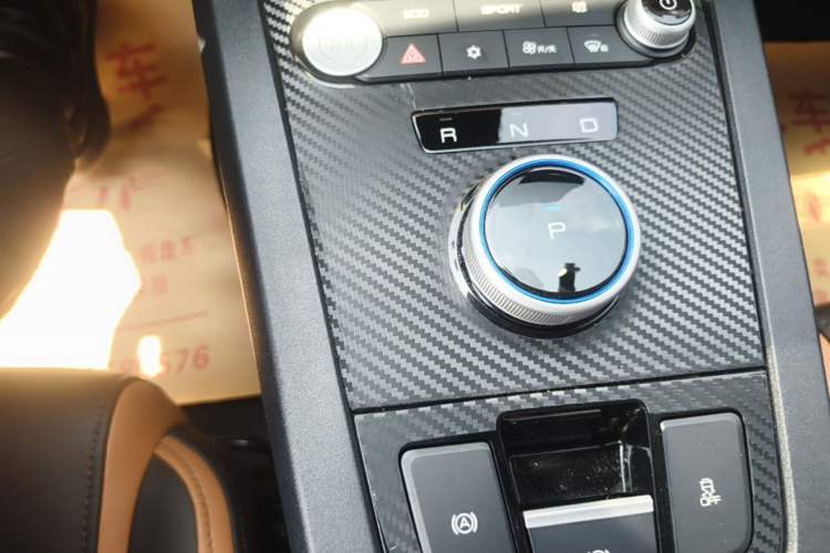 Used BYD e2 2021 Luxury Model Gear Lever