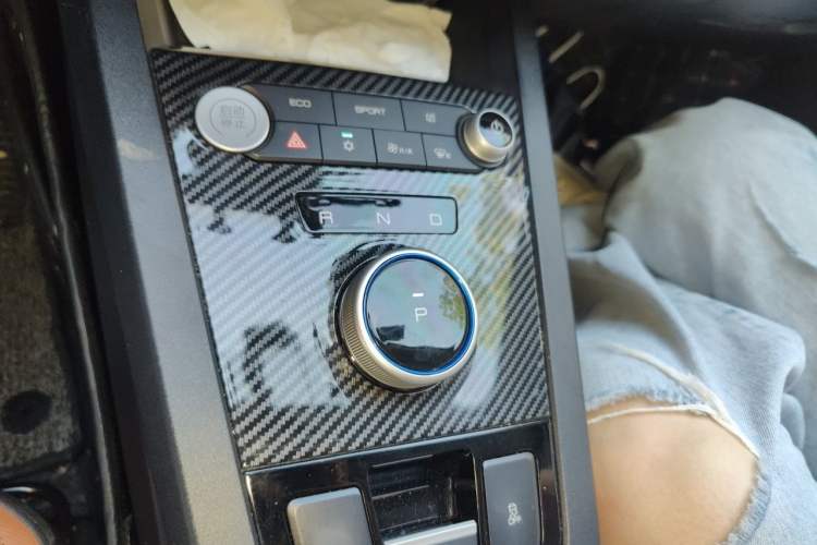 Used BYD e2 2021 Luxury Model Gear Lever
