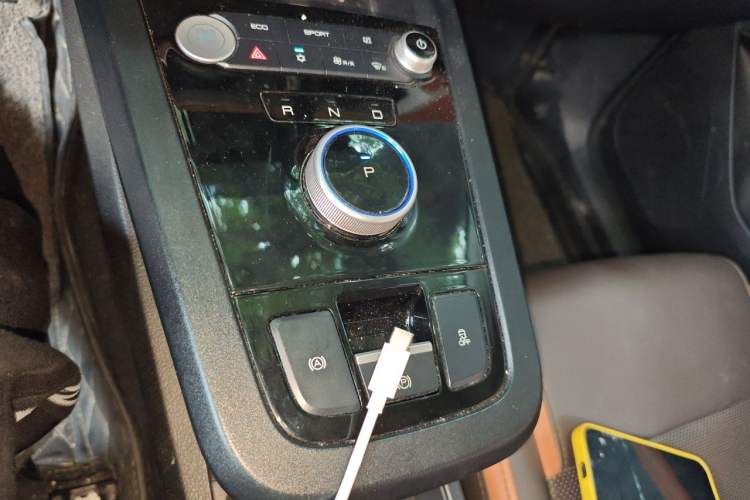 Used BYD e2 2021 Luxury Model Gear Lever