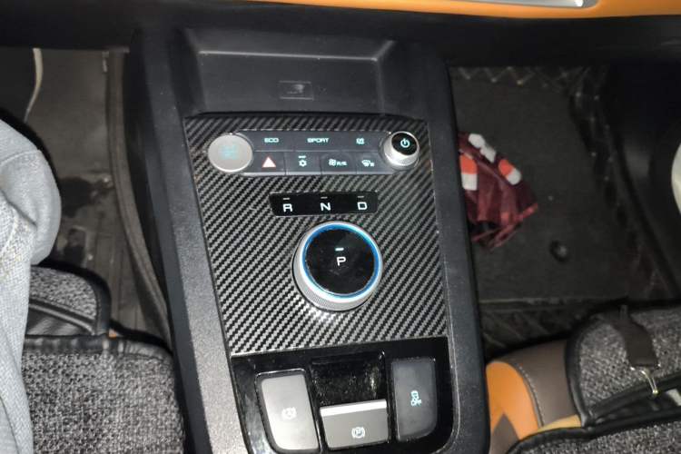 Used BYD e2 2021 Luxury Model Gear Lever