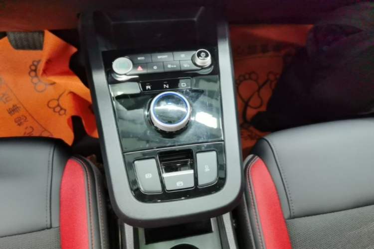 Used BYD e2 2021 Deluxe Model Gear Lever