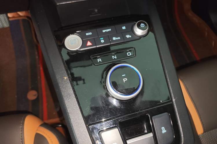 Used BYD e2 2021 Luxury Model Gear Lever