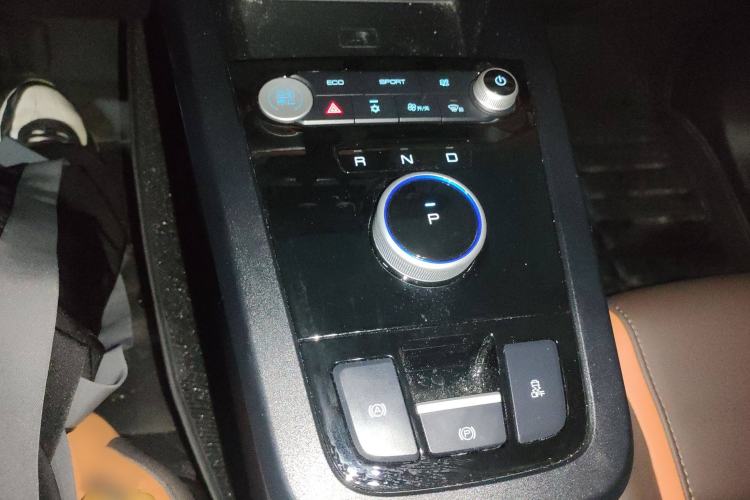 Used BYD e2 2021 Luxury Model Gear Lever