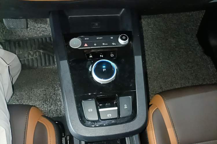 Used BYD e2 2021 Luxury Model Gear Lever