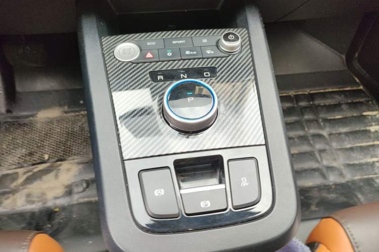 Used BYD e2 2021 Luxury Model Gear Lever