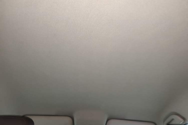 Used BYD e2 2021 Luxury Model Headliner