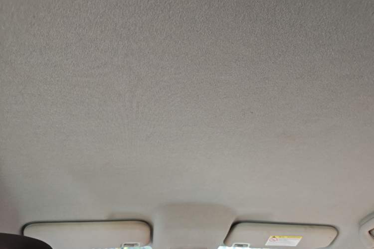 Used BYD e2 2021 Luxury Model Headliner