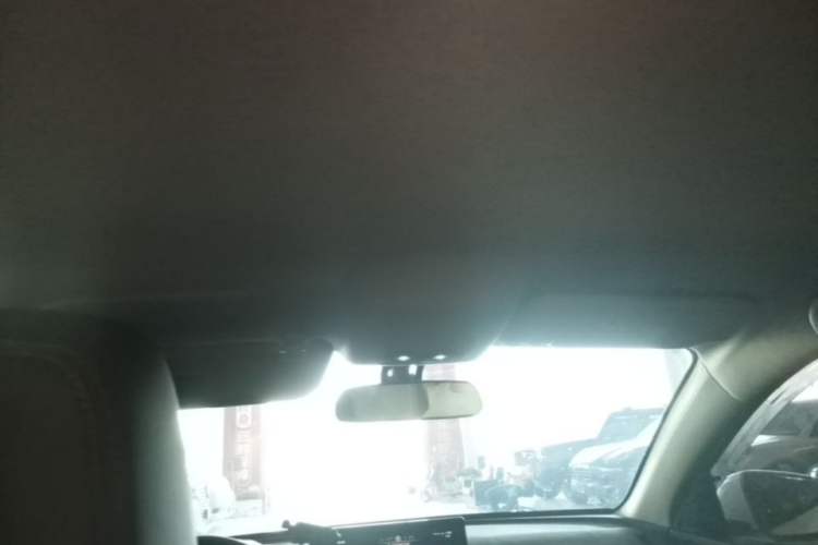 Used BYD e2 2021 Luxury Model Headliner