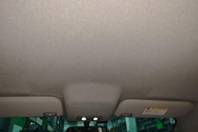 Used BYD e2 2021 Luxury Model Headliner
