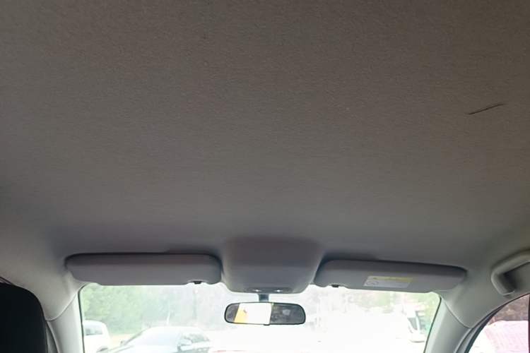 Used BYD e2 2021 Comfort Model Headliner