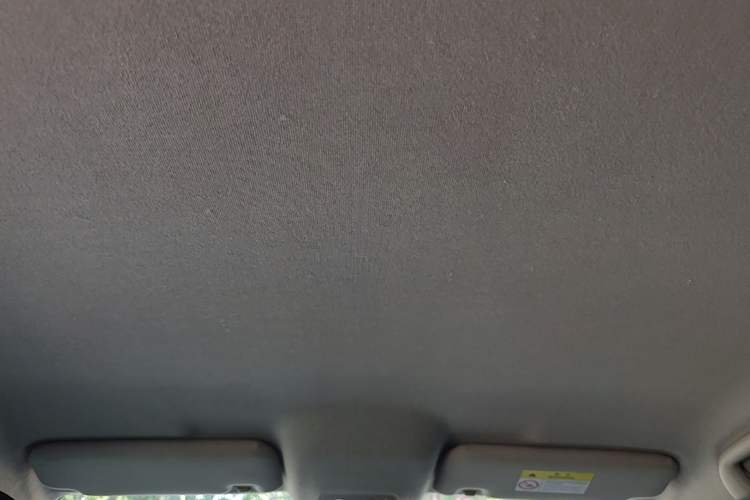 Used BYD e2 2021 Comfort Model Headliner