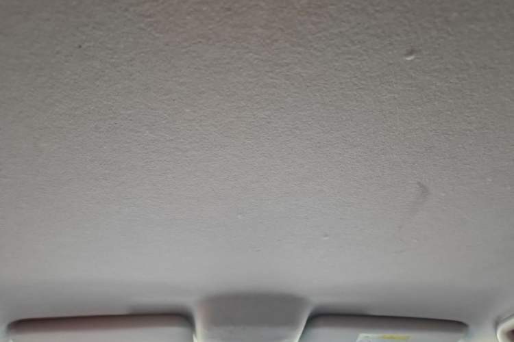 Used BYD e2 2021 Comfort Model Headliner