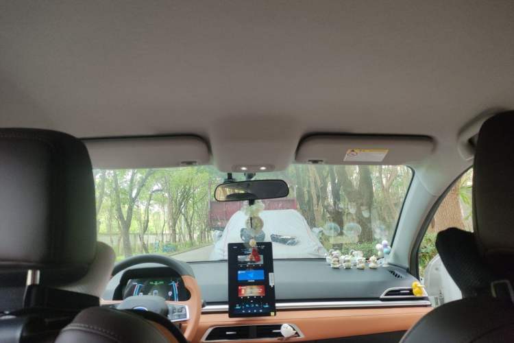 Used BYD e2 2021 Luxury Model Headliner