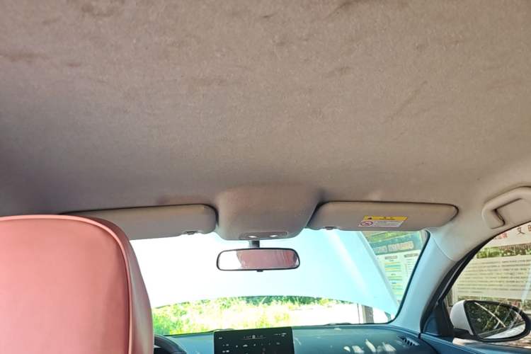 Used BYD e2 2021 Comfort Model Headliner