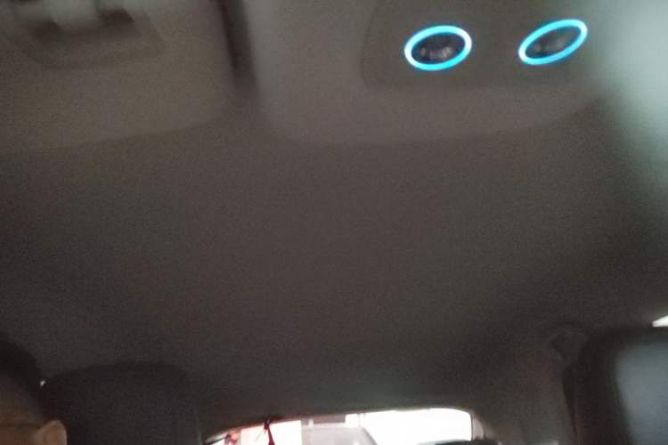 Used BYD e2 2021 Luxury Model Headliner