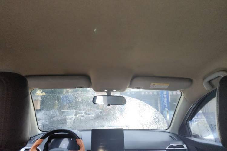 Used BYD e2 2021 Luxury Model Headliner