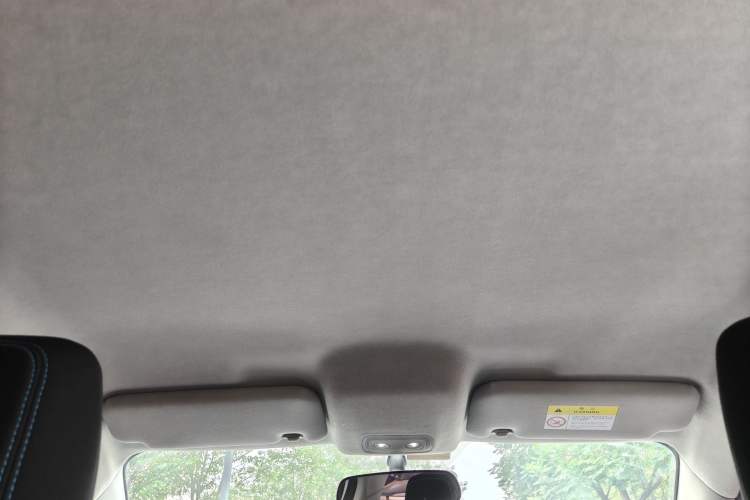 Used BYD e2 2021 Standard Model Headliner